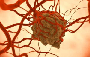 Senjata Rahasia dari Akar Costus: Bisakah Terpenoid Menghancurkan Protein Pemicu Kanker MDM2?