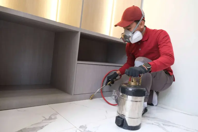 Rumah di Bandung Terancam Hancur Diam-Diam? Ini Rahasia Anti Rayap Bandung yang Jarang Diketahui!